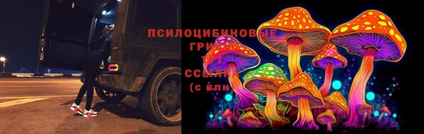 mdpv Арсеньев