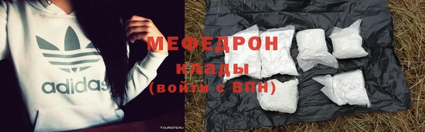индика Аркадак