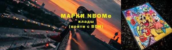 индика Аркадак