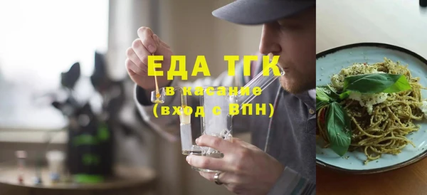 индика Аркадак