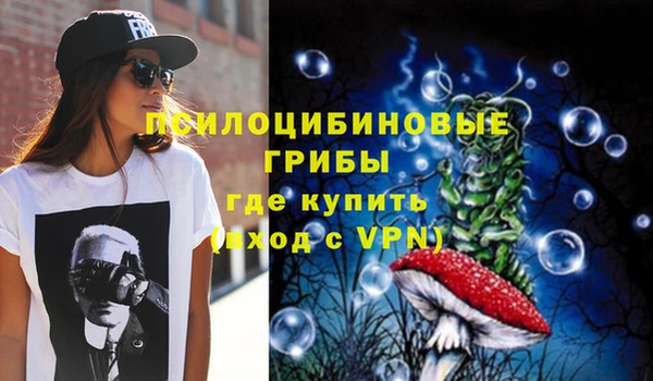 mdpv Арсеньев