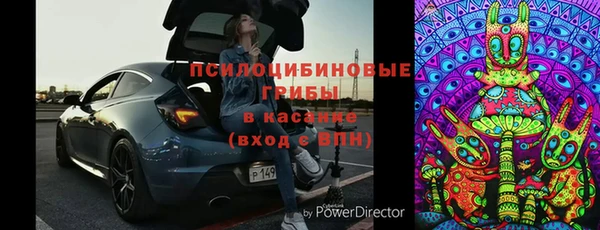 ПСИЛОЦИБИНОВЫЕ ГРИБЫ Армянск