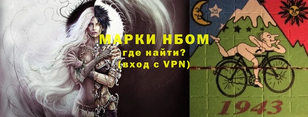 индика Аркадак