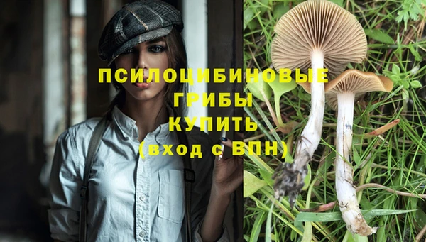 mdpv Арсеньев