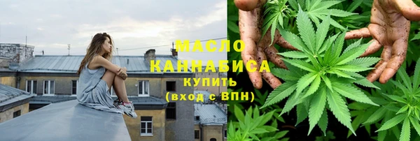 индика Аркадак